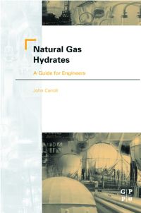Imagen de portada: Natural Gas Hydrates: A Guide for Engineers 9780750675697