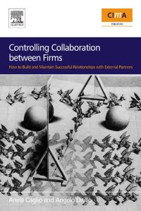 表紙画像: Controlling Collaboration between Firms: How to build and Maintain Successful Relationships with External Partners 9780750681315