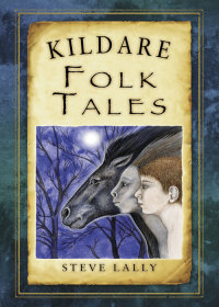 Cover image: Kildare Folk Tales 1st edition 9781845888107