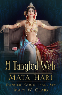 Cover image: A Tangled Web 1st edition 9780750968195