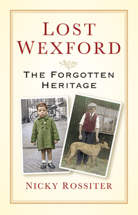 Cover image: Lost Wexford: The Forgotten Heritage 1st edition 9781845885885