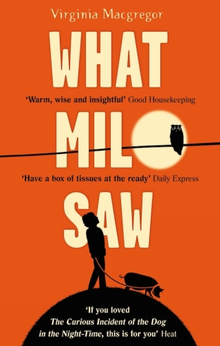 Cover image: What Milo Saw 9780751554274