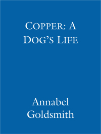 Cover image: Copper: A Dog's Life 9780751556469