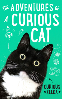 Cover image: The Adventures of a Curious Cat 9780751581195
