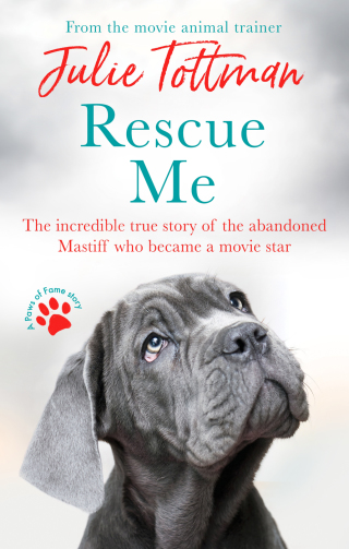 Cover image: Rescue Me 9780751580112