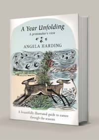 Cover image: A Year Unfolding 9780751584332