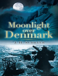 Cover image: Moonlight Over Denmark 1st edition 9780752449197