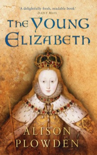 Cover image: The Young Elizabeth 1st edition 9780752459431