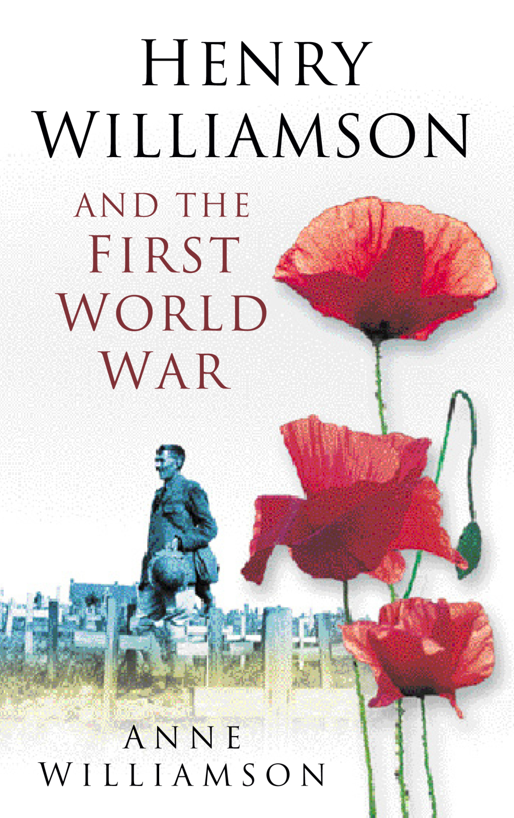 Henry Williamson and the First World War 1st Edition