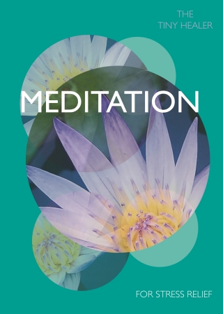 Cover image: Tiny Healer: Meditation 9780753733561