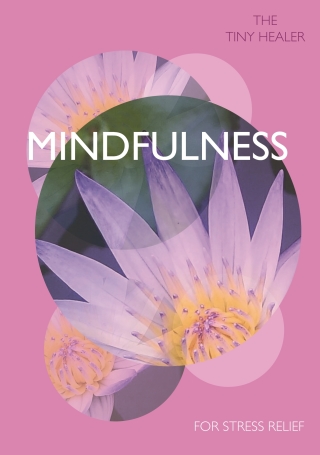 Cover image: Tiny Healer: Mindfulness 9780753733493