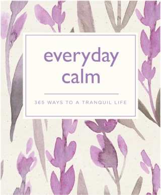 Cover image: Everyday Calm 9780753733851