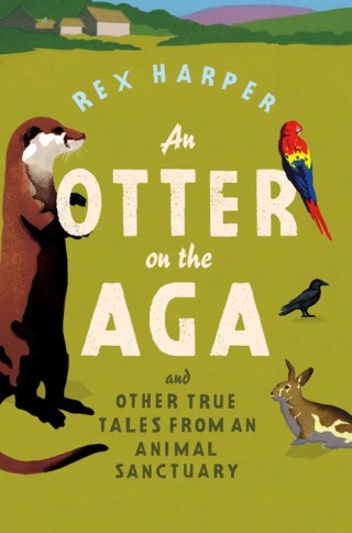 Cover image: An Otter on the Aga 9780755364749