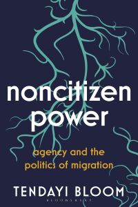 Cover image: Noncitizen Power 1st edition 9780755600199