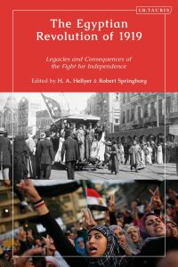 Imagen de portada: The Egyptian Revolution of 1919 1st edition 9780755643615