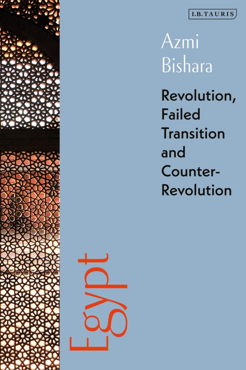 Egypt Revolution, Failed Transition and Counter-Revolution 1st Edition