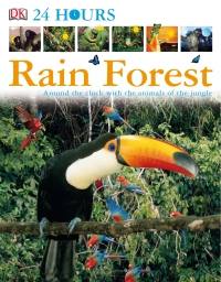 Cover image: DK 24 Hours: Rain Forest 9780756619855