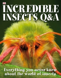 Cover image: Incredible Insects Q & A 9780756651930