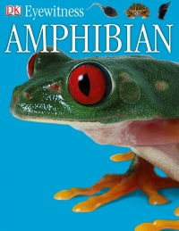 Cover image: DK Eyewitness Books: Amphibian 9780756613808
