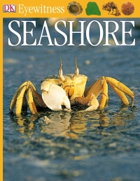 Cover image: DK Eyewitness Books: Seashore 9780756607210