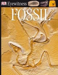Cover image: DK Eyewitness Books: Fossil 9780756606824
