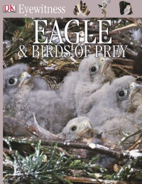 Cover image: DK Eyewitness Books: Eagle and Birds of Prey 9780789458605