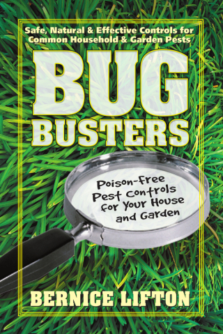 Cover image: Bug Busters 9780757000959