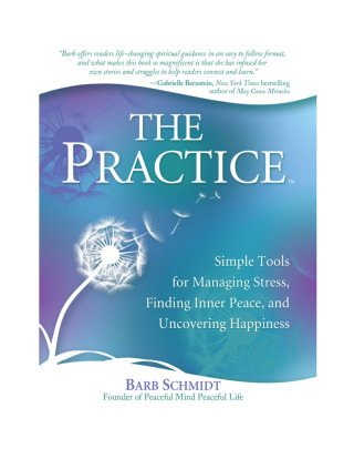 Cover image: The Practice 9780757317989