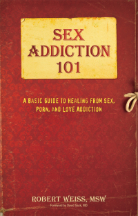 Cover image: Sex Addiction 101 9780757318436