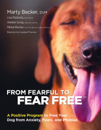Cover image: From Fearful to Fear Free 9780757320798