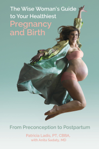 Cover image: The Wise Woman's Guide to Your Healthiest Pregnancy and Birth 9780757323706