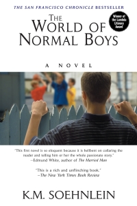 Omslagafbeelding: The World of Normal Boys 9781575665955