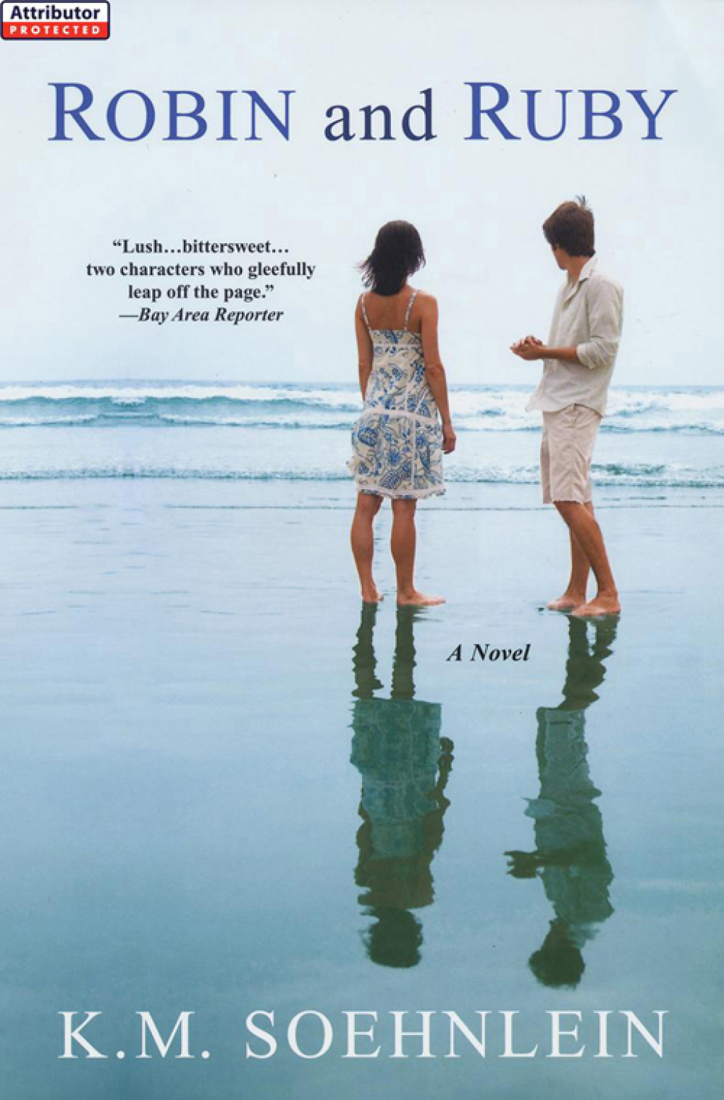 Robin and Ruby (eBook)