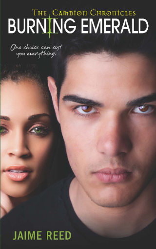 Imagen de portada: Burning Emerald 9780758269256