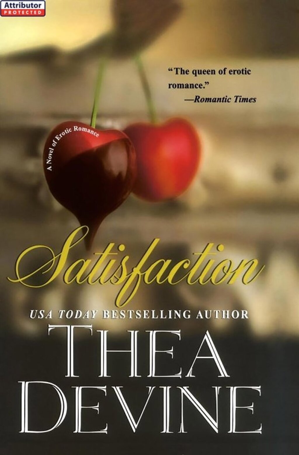 Satisfaction (eBook)