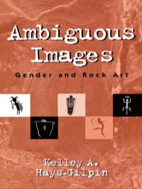 Cover image: Ambiguous Images 9780759100640
