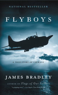 Cover image: Flyboys 9780316105842