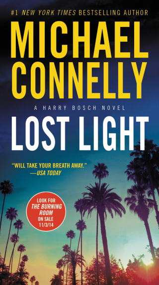 Cover image: Lost Light 9780759598188
