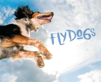表紙画像: Flydogs 9780760350522