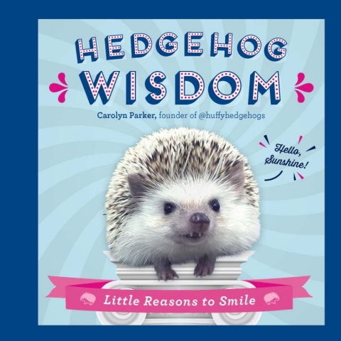 Hedgehog Wisdom : Little Reasons to Smile - FULL INSTANT DOWNLOAD | PDF DOCX EPUB