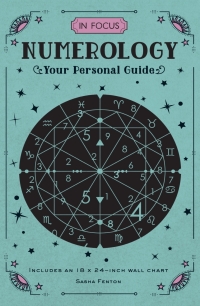 Cover image: In Focus Numerology 9781577151999