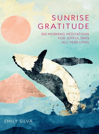 Cover image: Morning Meditations 9781631066955