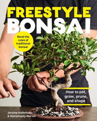 Cover image: Freestyle Bonsai 9780760371978