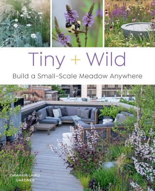 Cover image: Tiny and Wild 9780760376232