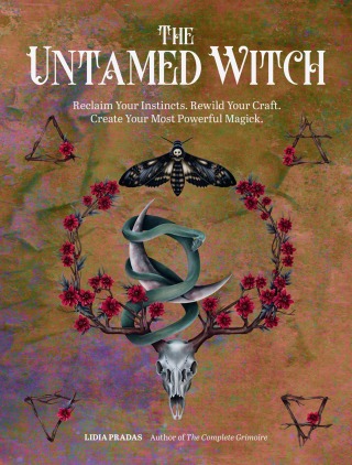 Cover image: The Untamed Witch 9780760376638