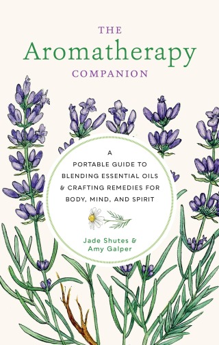 Imagen de portada: Aromatherapy Companion 9780760377918