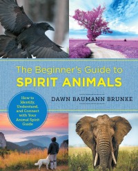 Cover image: The Beginner's Guide to Spirit Animals 9780760379943