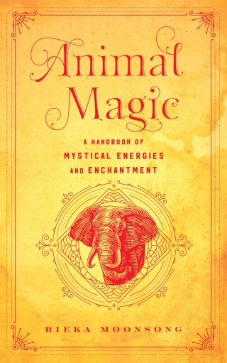 Imagen de portada: Animal Magic 9781577153955