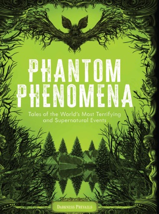 Imagen de portada: Phantom Phenomena 9781577154334