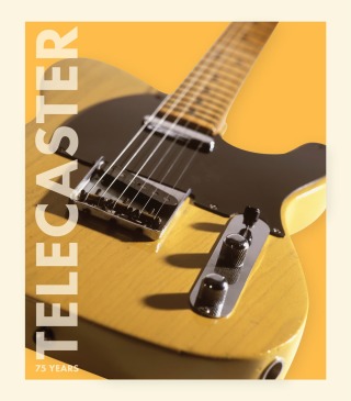 Titelbild: Fender Telecaster 9780760389317